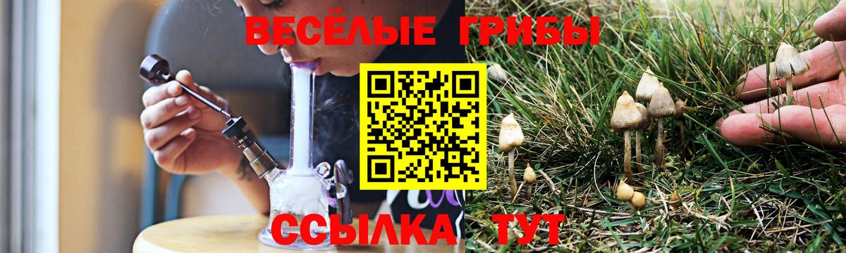 Галлюциногенные грибы Cubensis Каменка