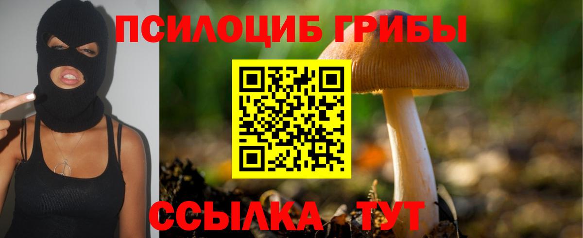 Псилоцибиновые грибы Magic Shrooms  Галлюциногенные грибы мицелий  Каменка  где можно купить наркотик  Вход с VPN 