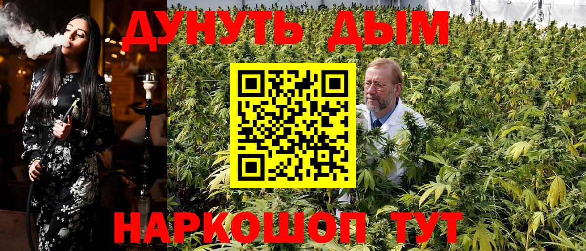 Каннабис конопля Каменка